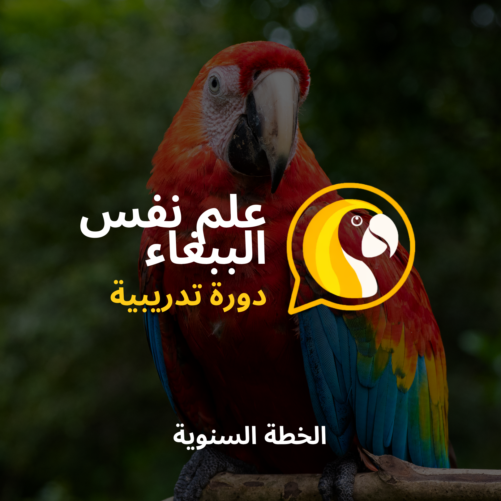 parrot course yearly